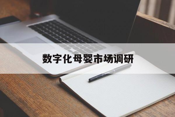 吕梁市数字化母婴市场调研(数字化母婴市场调研报告)